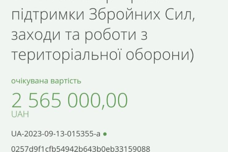 Одна з селищних рад Одеської області виділила 2 мільйони гривень на закупівлю дронів