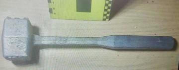 40-річний одесит вкрав у сусідки червонокнижну черепаху, зварив та з’їв її