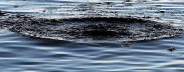 На Одещині знайдено тіло чоловіка, який пішов купатись у водойму та зник