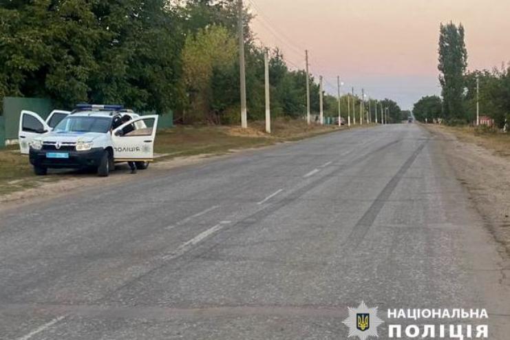 Тварина впала на жінку, яка вела стадо: на Одещині водій BMW здійснив наїзд на корову