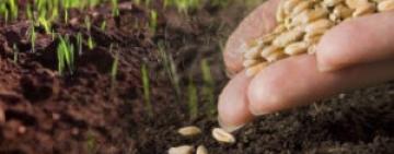 На Одещині призупинили посівну кампанію: причина