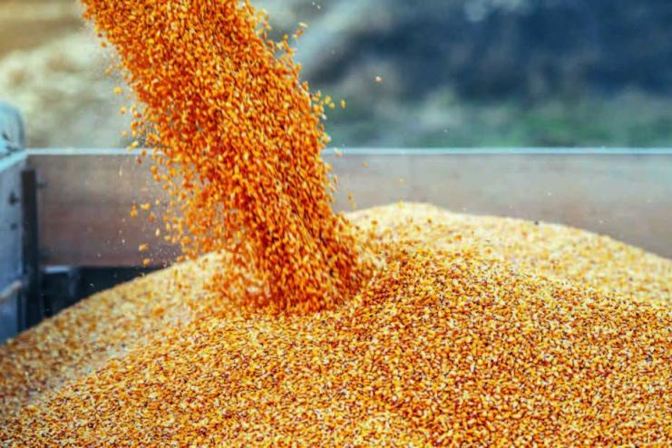 У Польщі підготували транзитні коридори для експорту українського зерна, - Дуда