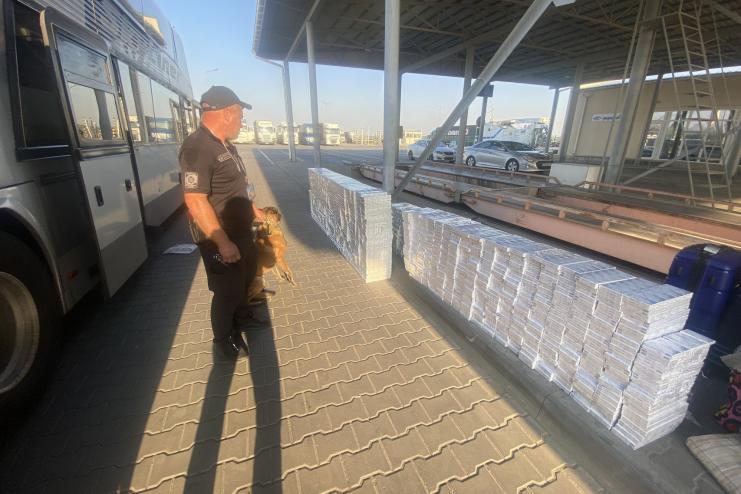  В автобусі до Бухареста вівчарка допомогла прикордонникам виявити майже 17 тисяч пачок контрабандних цигарок