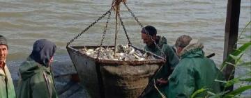 В озеро на Одещині до кінця року планують вселити більше 2 млн водних біоресурсів