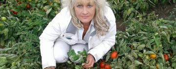 Рекорд України: найбільше томатів з одного куща