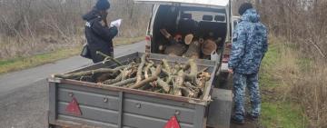 За порубку дерев у Нацпарку «Тузлівські лимани» житель Одещини сплатить чималий штраф