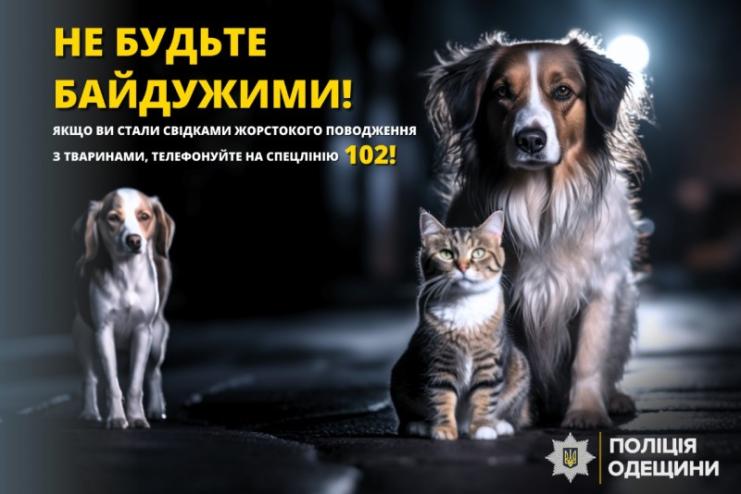 На Одещині поліцейські розслідують факт жорстокого поводження з твариною, що призвело до її загибелі