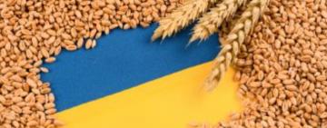 Україна може відправити до Африки понад 55 тисяч тонн зерна