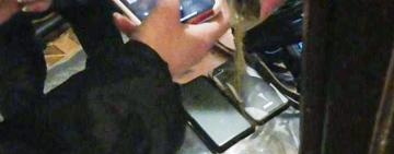 Зберігав та розповсюджував дитячу порнографію: на Одещини молодика викрили у протиправній діяльності