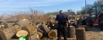В Арцизькій громаді вилучили велику партію дров сумнівного походження