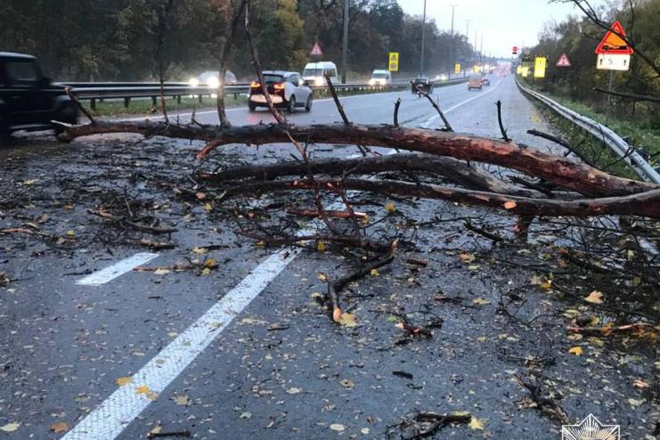 День аномалії розпочався!