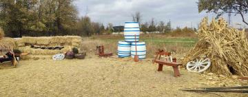 Кінь - найкращий антидепресант, - Павло Гафінець