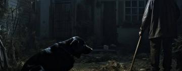 На Одещині чоловік до смерті побив собаку:  розпочато кримінальне провадження