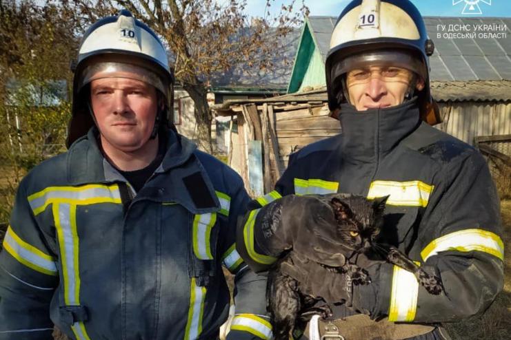 На Одещині рятувальники дістали пухнастика з дуже глибокого колодязя