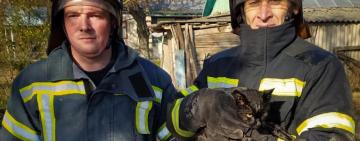 На Одещині рятувальники дістали пухнастика з дуже глибокого колодязя