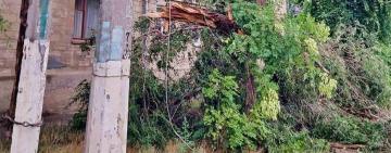 Негода наробила лиха: на Одещині без світла залишаються 50 населених пунктів