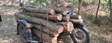 «Байкер»-лісоруб з Одещини може сісти за ґрати