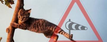 На Одещині знову оголошено штормове попередження