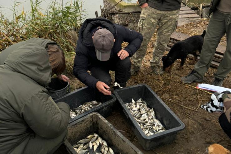 На Одещині поповнили водойму водними біоресурсами