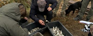 На Одещині поповнили водойму водними біоресурсами