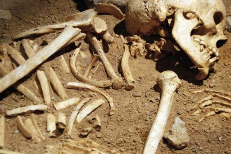 На півдні Одещини в дитячому садку знайшли людські кістки