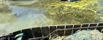 Четверо мешканців Вилкове і житель Рені наловили риби на кримінальну відповідальність