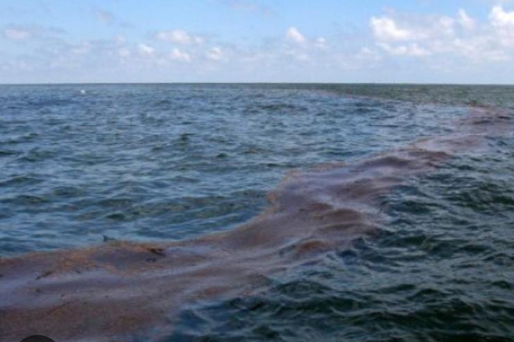 В Одеській області торговельне судно забруднило море пальним — судновласник заплатив штраф