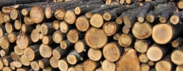 Житель Білгород-Дністровського району ошукав 18 громадян на продажі неіснуючих дров 