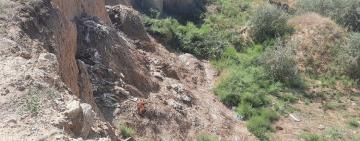 На Одещині прибрали скотомогильник, в якому трупи тварин ховали під соломою