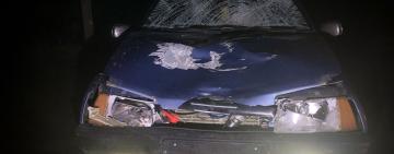 На Одещині п’яний  водій на смерть збив двох жінок