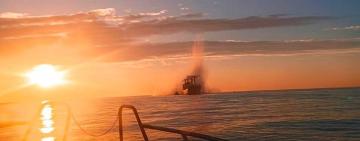 У Чорному морі на російській міні підірвалося цивільне судно: поранено 2 моряків