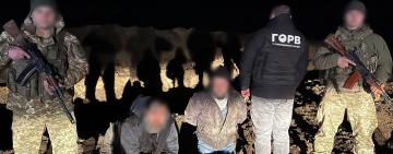  На Одещині затримали «нічних туристів», які намагались потрапити в Молдову