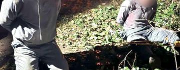 На Одещині затримано банду, яка скоювала розбійні напади на самотніх літніх людей (відео)