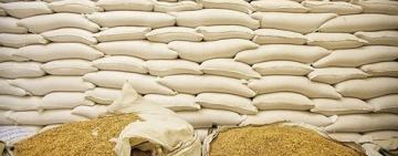 350 тонн агропродукції «зникли» в портах Рені та Ізмаїлу - ЗМІ 