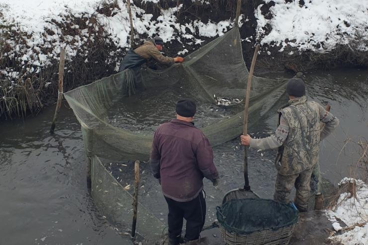 У 2023 році до водойм Одеської області вселено рекордну кількість молодої риби