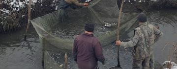 У 2023 році до водойм Одеської області вселено рекордну кількість молодої риби