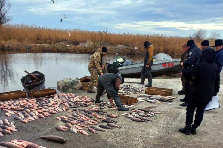 На Одещині викрито браконьєрів, які наловили риби на 1,5 млн грн