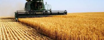 Аграрії Одеської області отримали п'ять мільярдів гривень на розвиток господарств