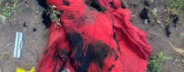 На Одещині судили чоловіка, який за 300 грн зґвалтував, підпалив і намагався задушити односельчанку