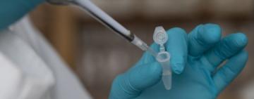 В Україні зафіксовано новий штам коронавірусу «Дженні»