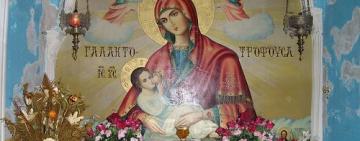 25 января. Икона Пресвятой Богородицы "Млекопитательница" 