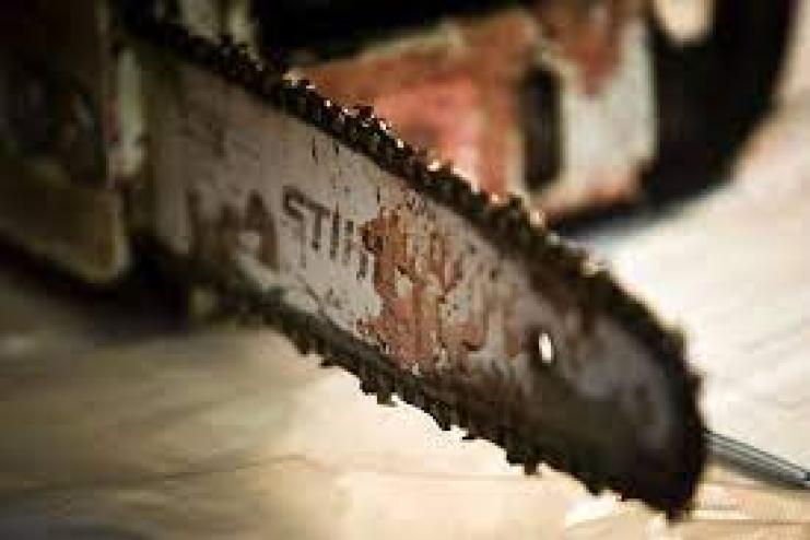 Вирішила провчити: на Одещині жінка бензопилкою відрізала чоловіку ніс