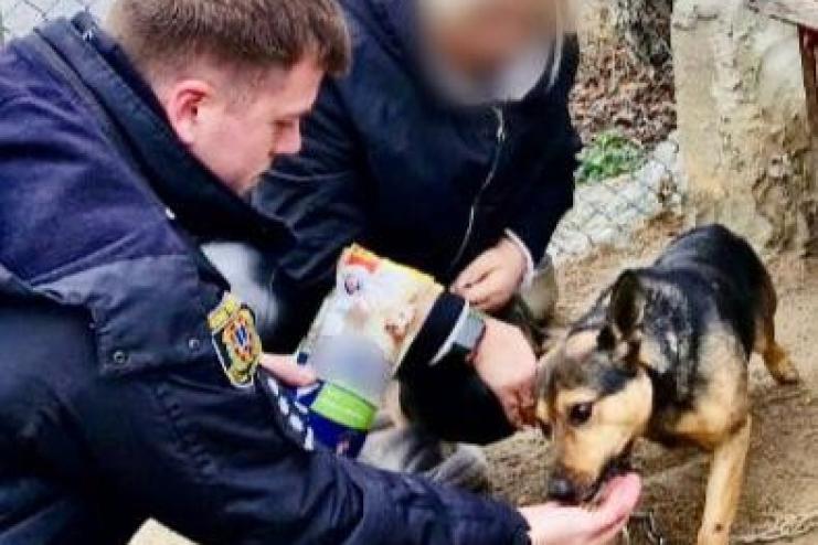 Собаку, над яким знущалась неповнолітня з Одещини, вилучили і передали у притулок (відео)