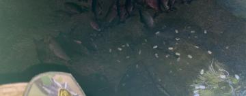 Під час патрулювання озера на Одещині викрито чергового браконьєра 