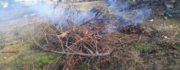 Не допомагають навіть штрафи: чергового палія рослинності покарано 