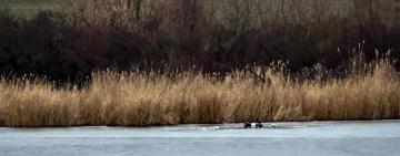 На Одещині рибалка провалився під кригу за 100 м від берега