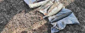 Завдав державі 38 тис грн збитків: в Кілійській громаді затримано браконьєра