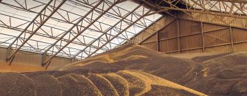 На Одещині аграрна компанія не сплатила 7 млн грн податків