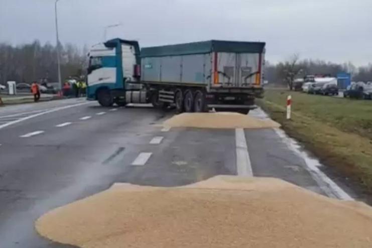 Умисне знищення українського зерна в Польщі: головне про гучний скандал