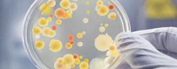 На Болградщині зафіксували випадок захворюваності на ботулізм: пацієнту пощастило залишитися живим